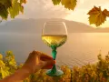 Ein Glas Lugana Wein, dessen Herkunft man schmeckt, vor malerischer Kulisse am See bei Sonnenuntergang.