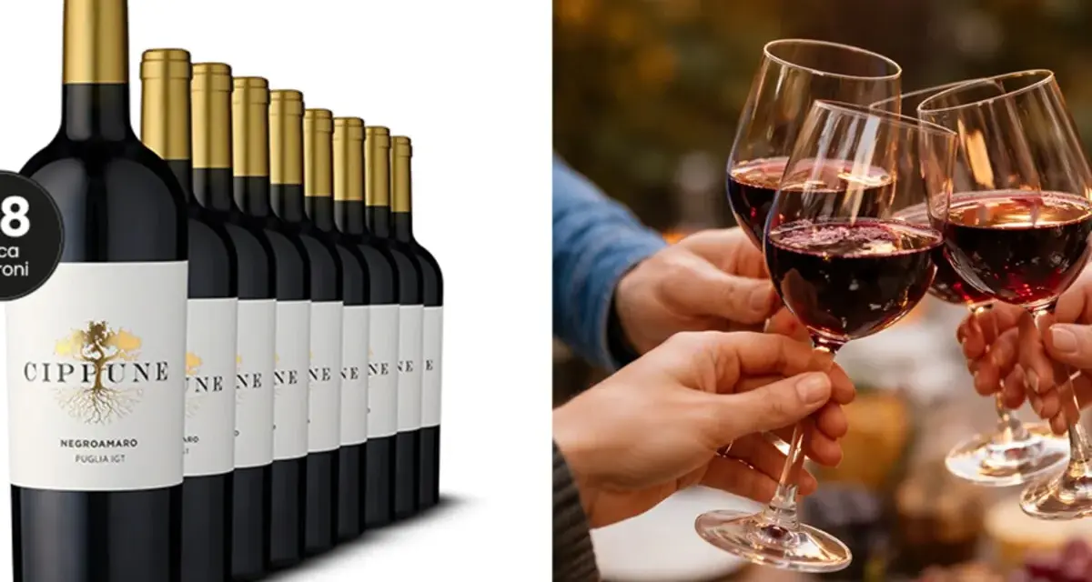 Eine Reihe von Flaschen des italienischen Negroamaro Weins, daneben Menschen, die mit Weingläsern anstoßen.