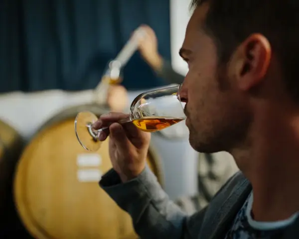 Mann verkostet bernsteinfarbenen italienischen Dessertwein in einem Glas, im Hintergrund Weinfässer.