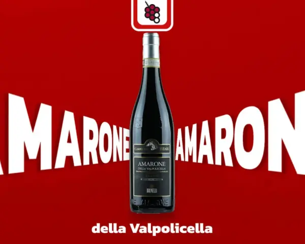 Eine Flasche Amarone della Valpolicella steht im Fokus, umgeben von riesigen weißen Buchstaben, die "Amarone" buchstabieren.
