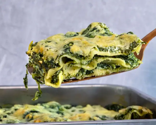 Ein Stück cremiger Ricotta Spinat Lasagne wird aus einer Auflaufform gehoben.