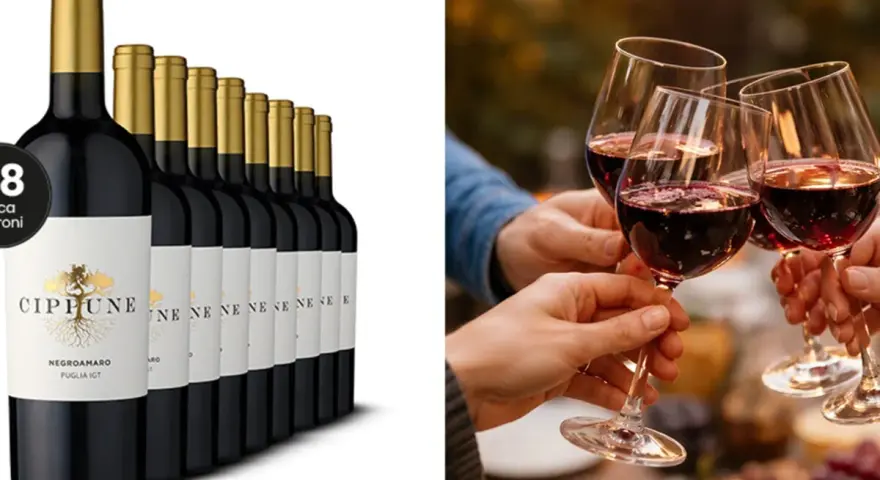 Eine Reihe von Flaschen des italienischen Negroamaro Weins, daneben Menschen, die mit Weingläsern anstoßen.