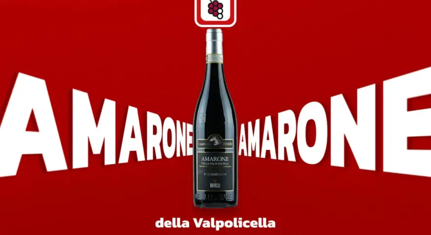 Eine Flasche Amarone della Valpolicella steht im Fokus, umgeben von riesigen weißen Buchstaben, die "Amarone" buchstabieren.