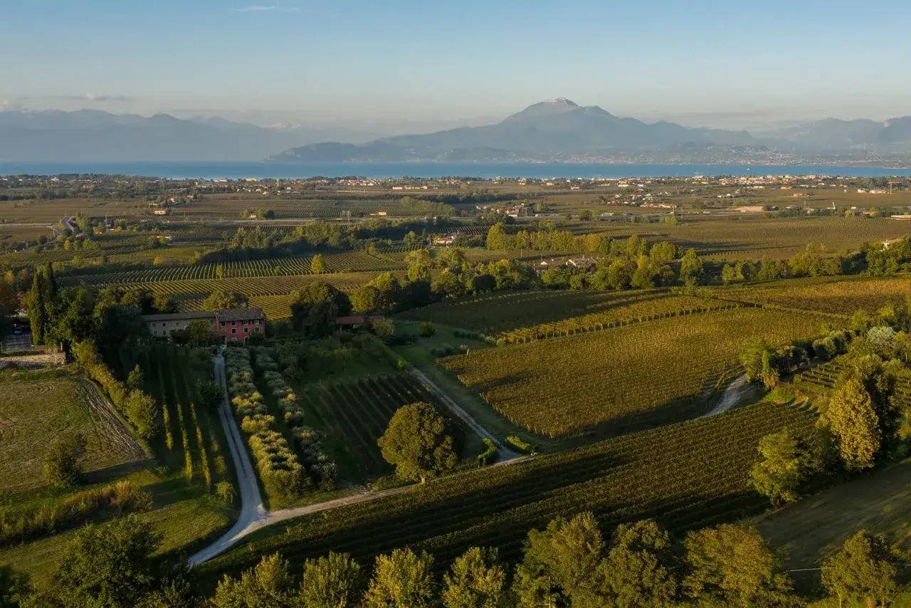 Sanfte Hügel mit Weinreben, Olivenbäumen und einem roten Bauernhaus. Im Hintergrund der Gardasee und Berge, die die Lugana Wein Herkunft erahnen lassen.