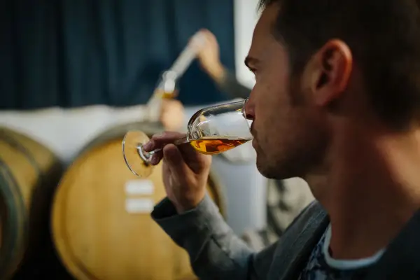 Mann verkostet bernsteinfarbenen italienischen Dessertwein in einem Glas, im Hintergrund Weinfässer.